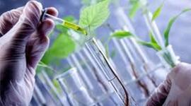 Timeline: Evolucion De La Biotecnologia