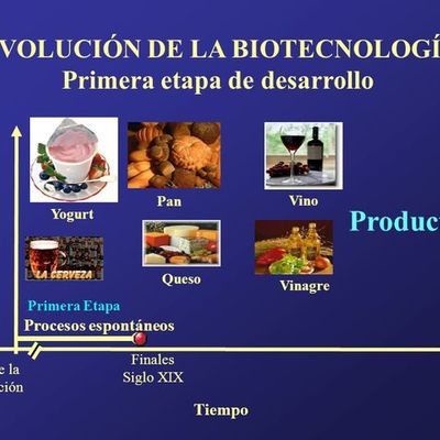 Timeline: Evolucion De La Biotecnologia