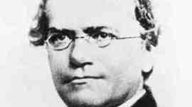 Timeline: Apartir De Las Leyes De Mendel como se ha evolucionado en la Genetica