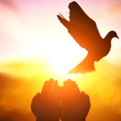 Timeline: History of the Human rights