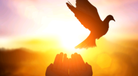 Timeline: History of the Human rights