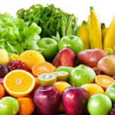 Timeline: Cronograma de actividades