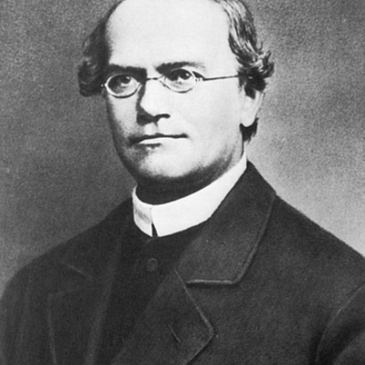 Timeline: Gregor Johann Mendel