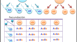 Timeline: EVOLUCIÓN DE LOS CRUCES MONOHIBRIDOS Y DIHIBRIDOS
