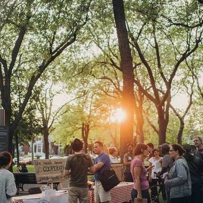 Timeline: Ortie Folle Timeline