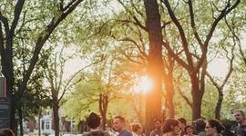 Timeline: Ortie Folle Timeline