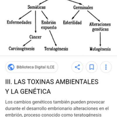 Timeline: Evolucion de los sindromes por alteracion del ADN