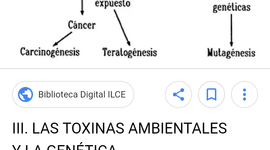 Timeline: Evolucion de los sindromes por alteracion del ADN