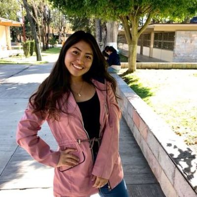 Timeline: Línea de vida