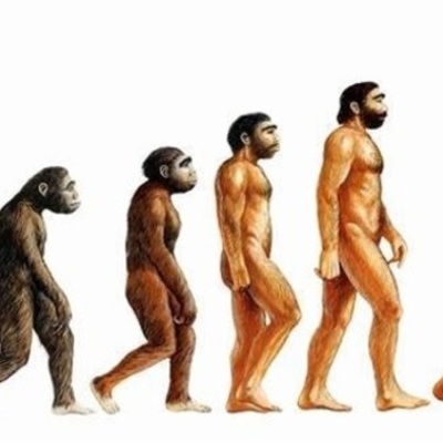 Timeline: Evolución de los homínidos