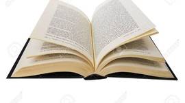 Timeline: momento historico del curriculo