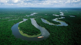 Timeline: Relación entre la Globalización y el medio ambiente - Región: Amazonia Perú