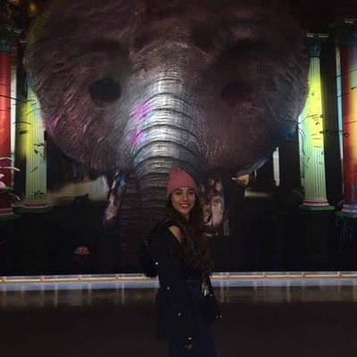 Timeline: Yamilet Espinosa Guzmán