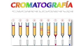 Timeline: Cromatografia en el paso del tiempo