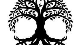 Timeline: Linea de vida.