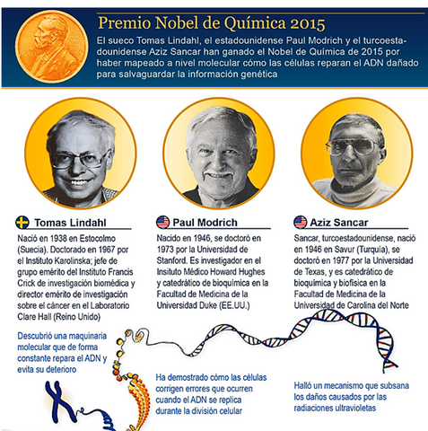 ADN y CÁNCER