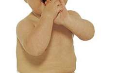 Timeline: Toddler Development