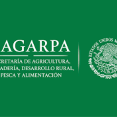 Timeline: MEJORANDO LA MEJORA REGULATORIA