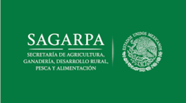 Timeline: MEJORANDO LA MEJORA REGULATORIA