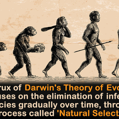 Timeline: Charles Darwin - Born: February 12, 1809, Died: April 19, 1882 - Joshua Connelly