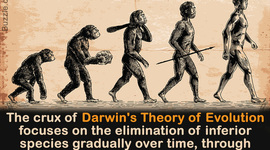 Timeline: Charles Darwin - Born: February 12, 1809, Died: April 19, 1882 - Joshua Connelly
