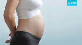 Timeline: Pregnancy Timeline
