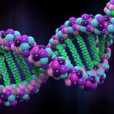 Timeline: HISTÒRIA GÉNETICA