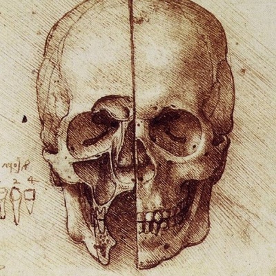 Timeline: Historia del cerebro A1