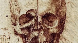 Timeline: Historia del cerebro A1