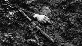 Timeline: Violencia en la primera mitad del siglo XX en Colombia