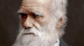 Timeline: Charles Darwin Born:1809 Died:1882