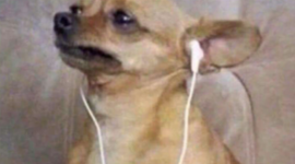 Timeline: 1301 Timeline Project