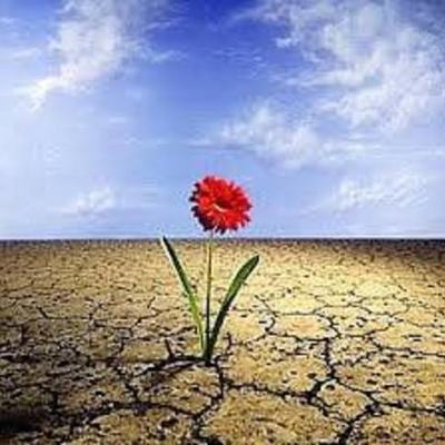 Timeline: DESARROLLO DE LAS ACTIVIDADES