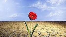 Timeline: DESARROLLO DE LAS ACTIVIDADES