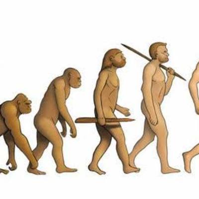 Timeline: Evolución del hombre