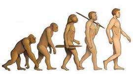 Timeline: Evolución del hombre