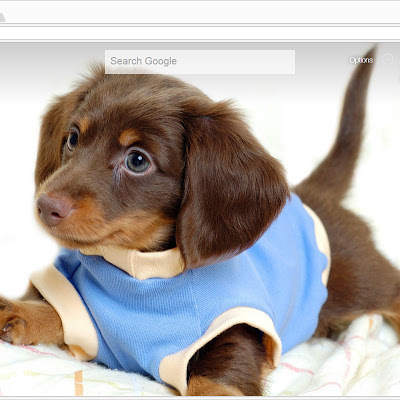 Timeline: REVOLUTIONARY WAR