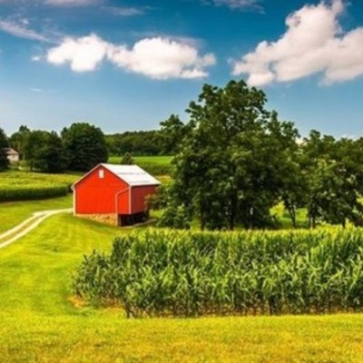 Timeline: con familia ludueña 1985