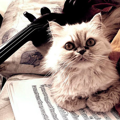 Timeline: L´histoire de la musique