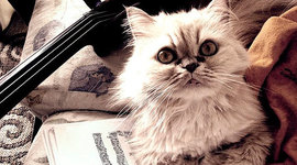 Timeline: L´histoire de la musique