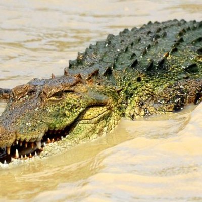 Timeline: Revolution of America