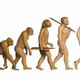 Evolución del hombre