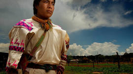 Timeline: Antropologías Mexicanos