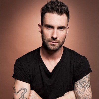 Timeline: Adam Noah Levine