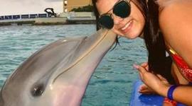 Timeline: Historia Familiar