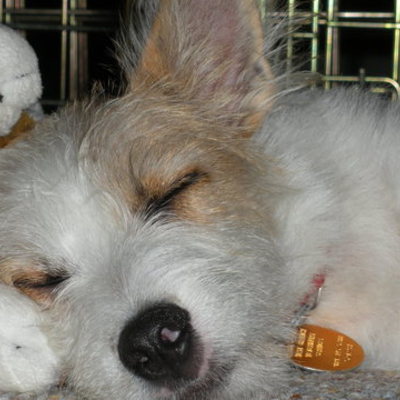 Timeline: Corinne's timeline