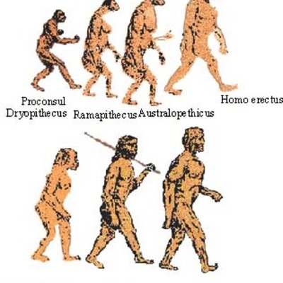 Timeline: Early Human Evolution