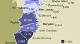 Timeline: Colonial Slave Trade