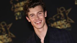 Timeline: Shawn Mendes