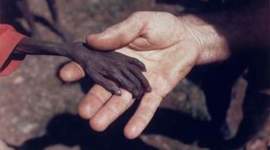 Timeline: Programas Sociales Celeste Citlaly Puentes Salazar